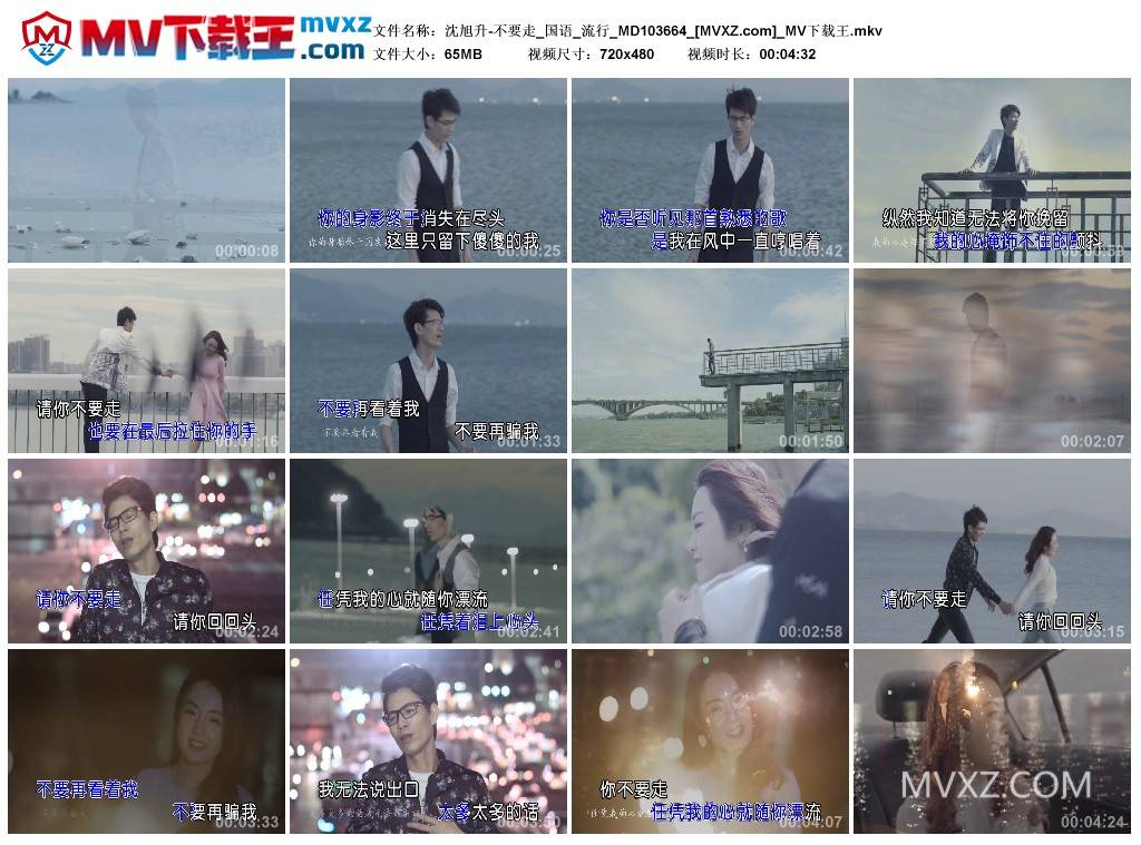 沈旭升-不要走_国语_流行_MD103664